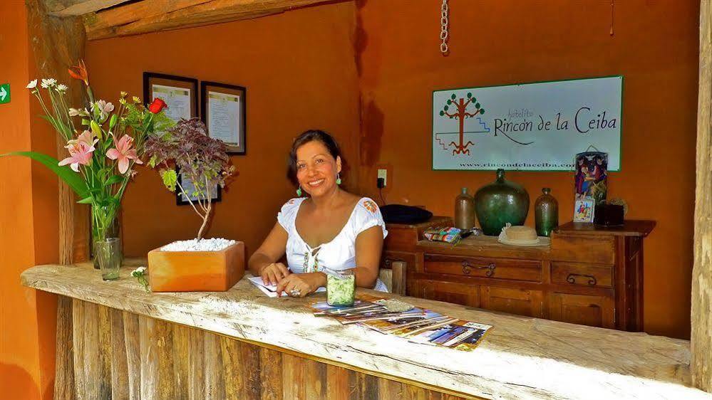 Hotelito Rincon De La Ceiba San José エクステリア 写真