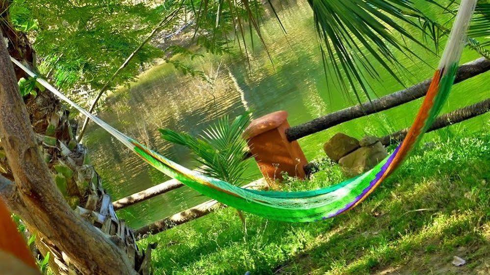 Hotelito Rincon De La Ceiba San José エクステリア 写真